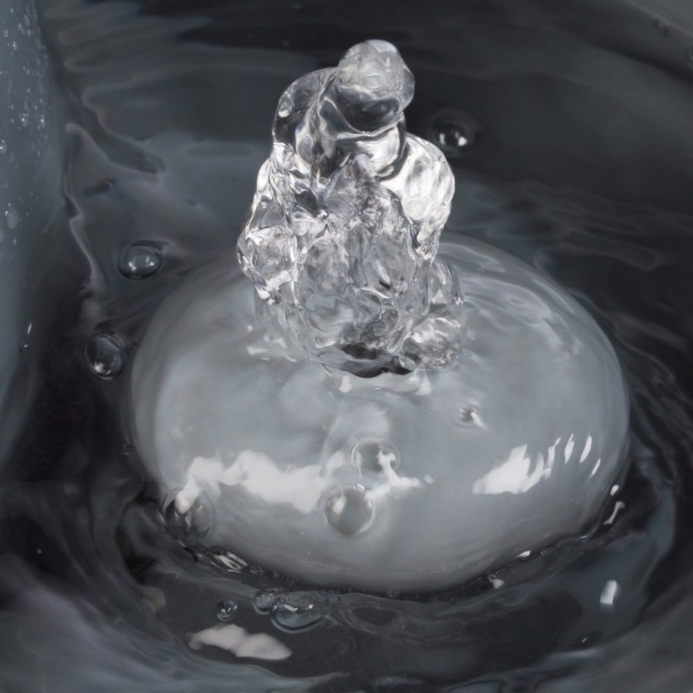 Eyenimal Pet Fountain (obrázek 6)