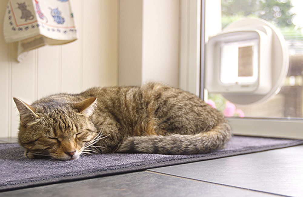 Dvířka pro kočky Sureflap Microchip Cat Door Connect (obrázek 5)