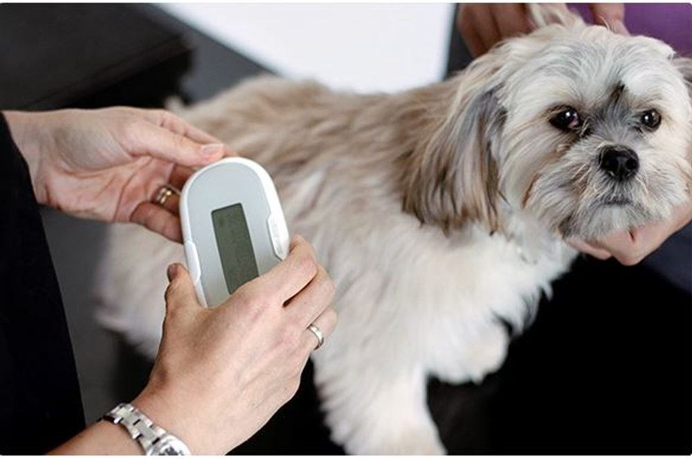 Čtečka čipů SureSense pro psy a jiné mazlíčky (obrázek 5)