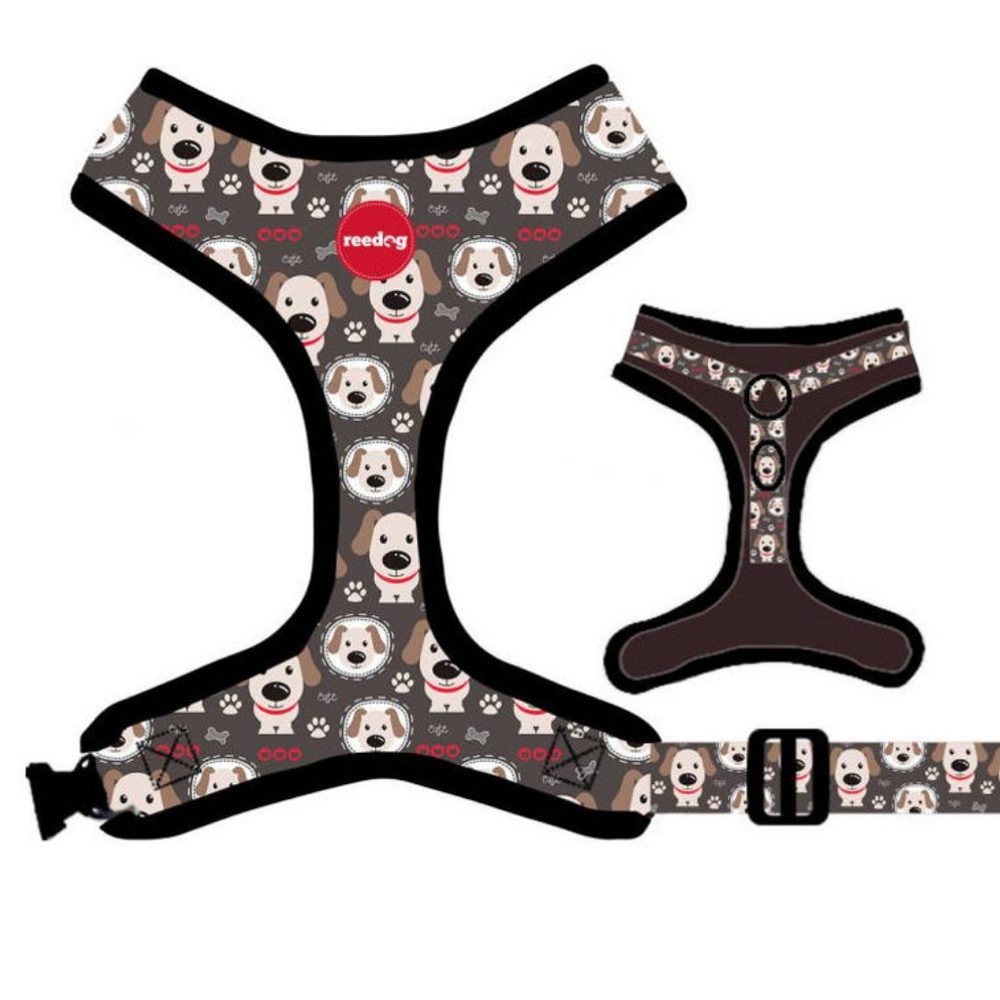 Reedog PUPPY - XS