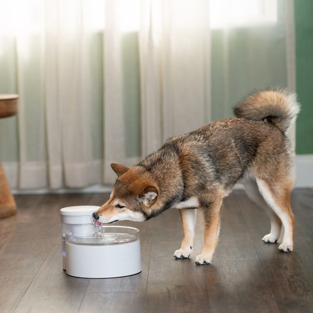 PetSafe® Outlast™ (obrázek 3)