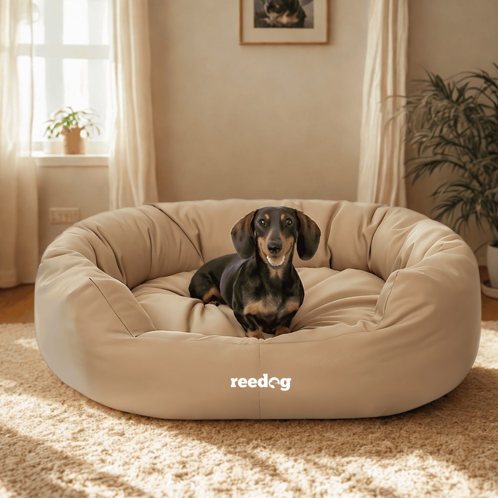 Reedog pelíšek Amazing Beige - XXL (obrázek 5)