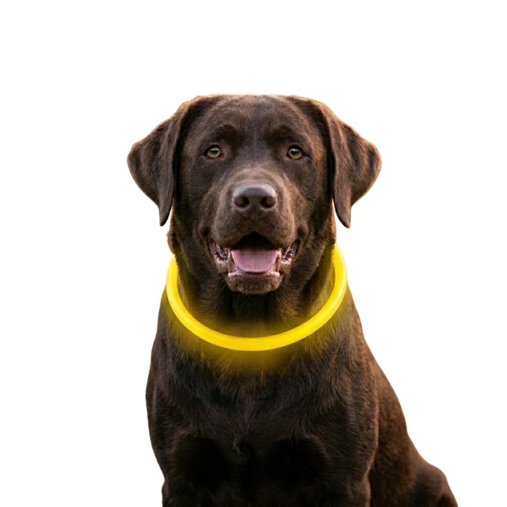 Reedog Full Light USB nabíjací svietiaci obojok pre psy a mačky