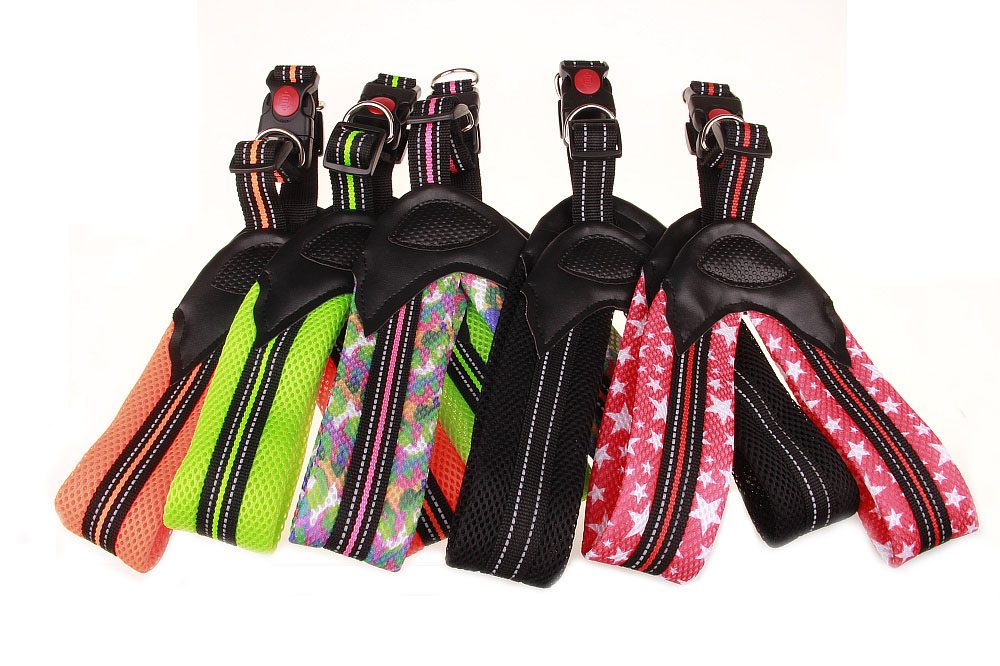 Reedog kšíry - červená