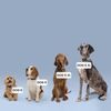 Tractive DOG 6 XL