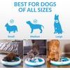 iFetch iDig Stay Digging Toy