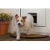 Door SureFlap with microchip for dogs