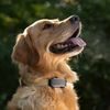 Tractive DOG 6 XL
