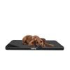 Reedog Matrace Thin Ekolen Black
