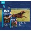 Brit Premium by Nature Sensitive Lamb 15 kg