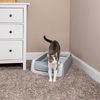 ScoopFree™ Original Automatic Cat Litter Box - 2nd Generation