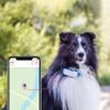 Tractive GPS DOG 4 – GPS nyomkövető és aktivitásmérő kutyáknak