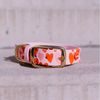 Collar Reedog rosa corazones BioThane
