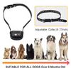 Reedog SP32