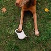 BAZAR - Reedog Senza Basic samonavíjecí vodítko M 25kg/ 5 m páska / pastelové bílé