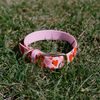 Collar Reedog rosa corazones BioThane