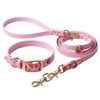 Reedog BioThane Heart Walking Set COLLAR + LEAD