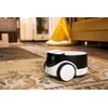 ROLA PetPal smart companion with AI