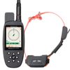 CANICOM GPS MINI mit Impuls
