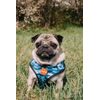 Reedog CAMO harness