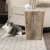 Katzenspielzeug, PetSafe®, Dancing Dot