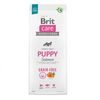 Caducidad 13.6.2026: Brit Care Dog Grain-free Puppy Salmon 12 kg
