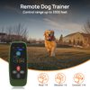 Patpet T800 Pro