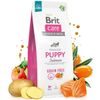 Caducidad 13.6.2026: Brit Care Dog Grain-free Puppy Salmon 12 kg