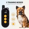 Reedog SP32