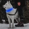Reedog luminous USB light collar for small, medium and large dogs
