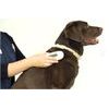 SureSense II chip reader for dogs and other pets