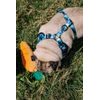 Reedog CAMO harness