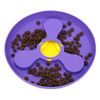 Reedog star flying disc 2 in 1