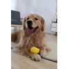 Reedog corn, dental toy with squeaker, 14,5 cm