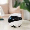 EBO SE Moving Pet Camera