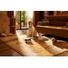 ROLA PetPal smart companion with AI