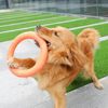 Reedog anillo de entrenamiento para perros naranja