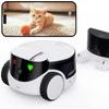 ROLA PetPal smart companion with AI
