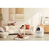 Catlink AI Scooper Young