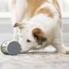 Elektronisches Spielzeug für Hunde PetSafe® Kibble Chase