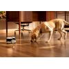 ROLA PetPal smart companion with AI