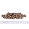 Brit Care Mini GF Adult Lamb 2 kg