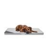Reedog Matrace Thin Ekolen Ash