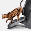 Lépcső és rámpa Litter Robot III Connect gray