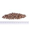 Brit Care Mini GF Sensitive Venison 7 kg