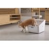 Petkit Pura Cat litter box