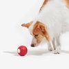 Cheerble Wicked Ball SE para perros pequeños y medianos rojo