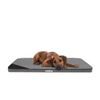 Reedog Matrace Thin Ekolen Grafit