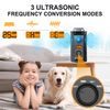 Reedog U13