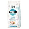 Expirace 6.8. 2026: Brit Fresh Fish & Pumpkin Adult Large Muscle & Joints 12 kg